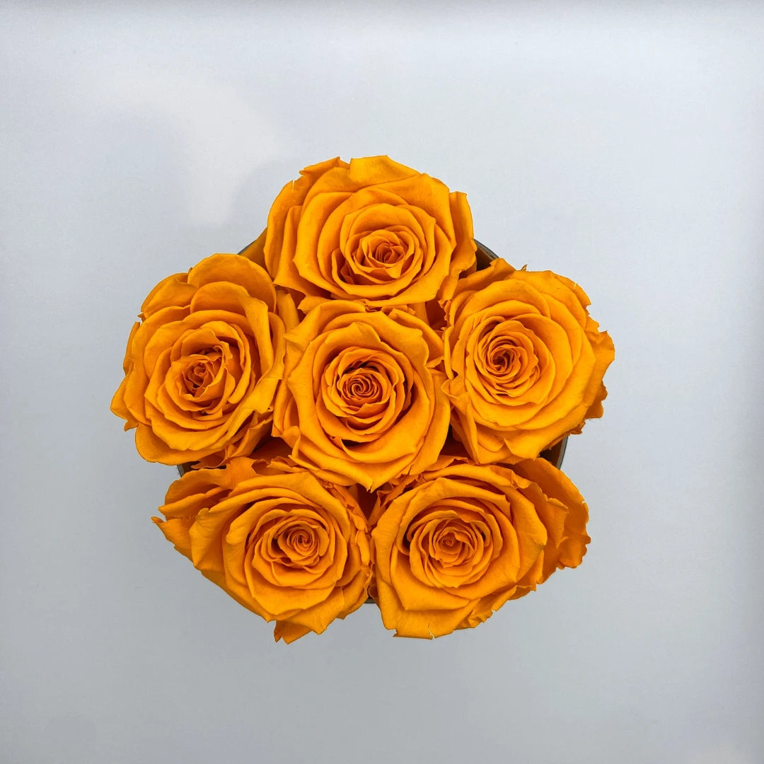 sárga örök rózsa