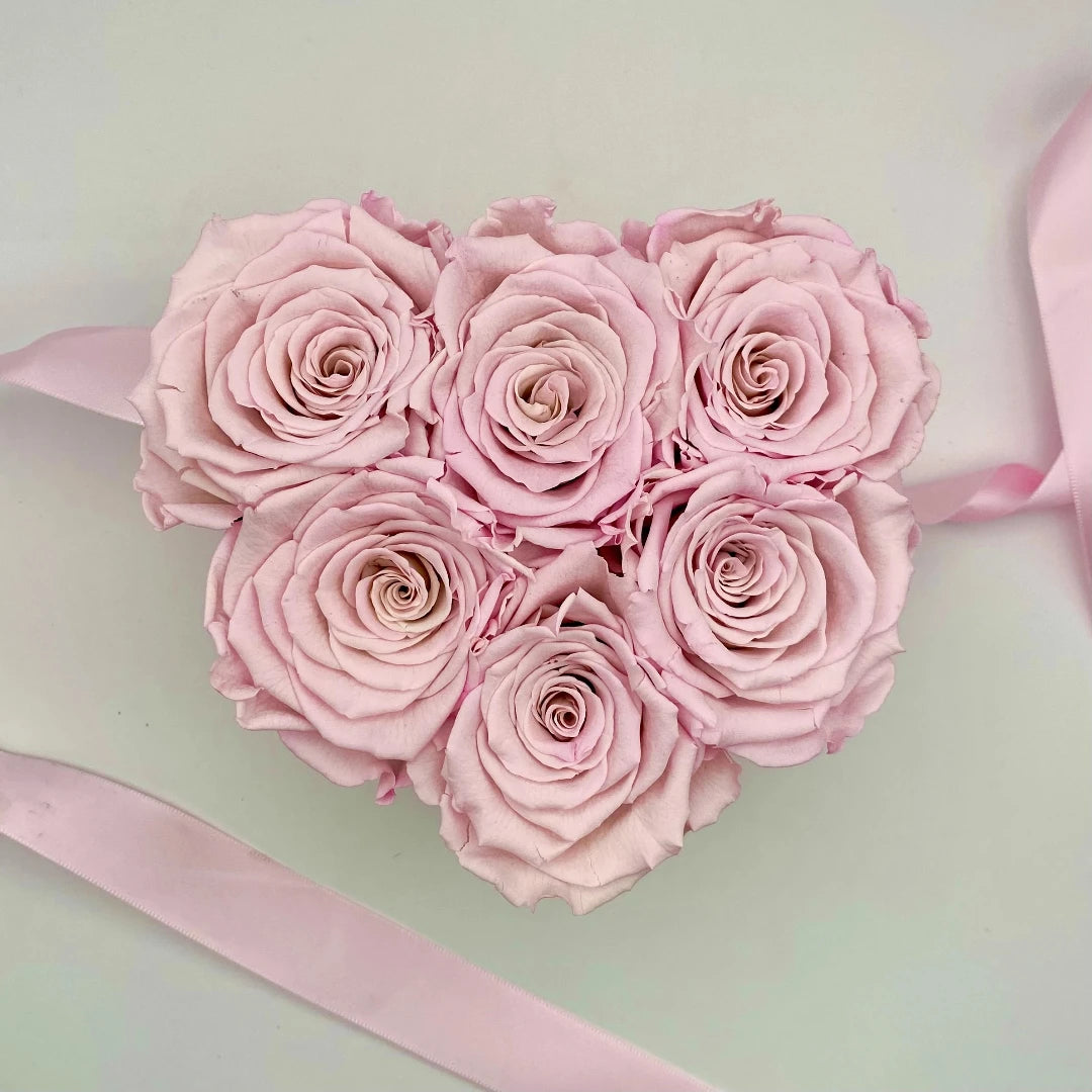 rózsaszín örök rózsa