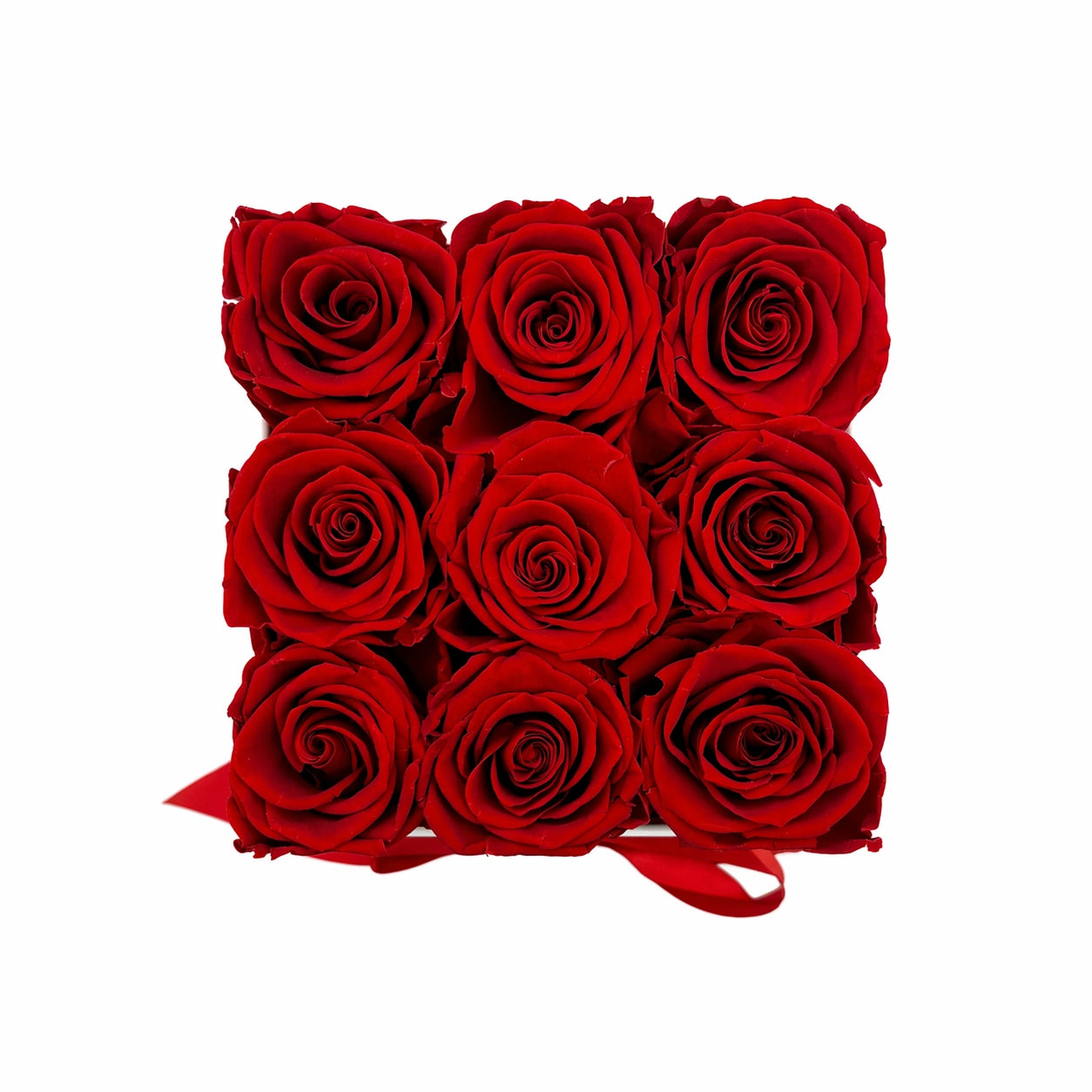 9 örökrózsa fehér kocka rózsabox tartósított vörös rózsa