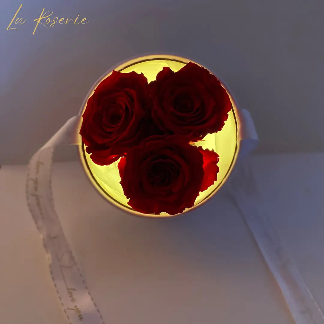 örökrózsa bársony dobozban