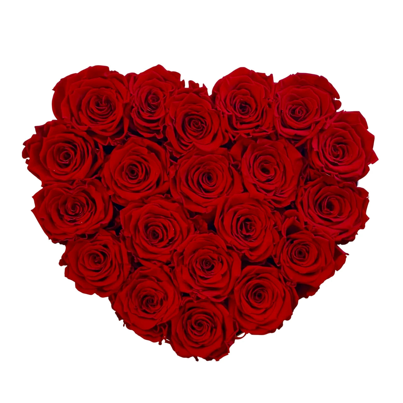 nagy örökrózsa box