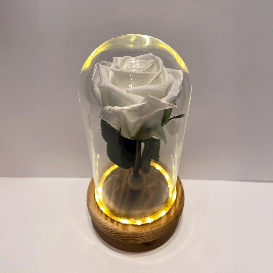 fehér örökrózsa üvegben