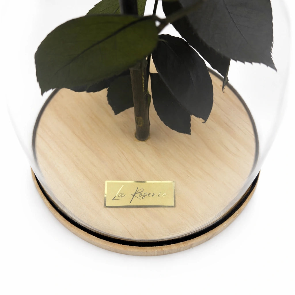 fekete örök rózsa üvegburában ecuadori