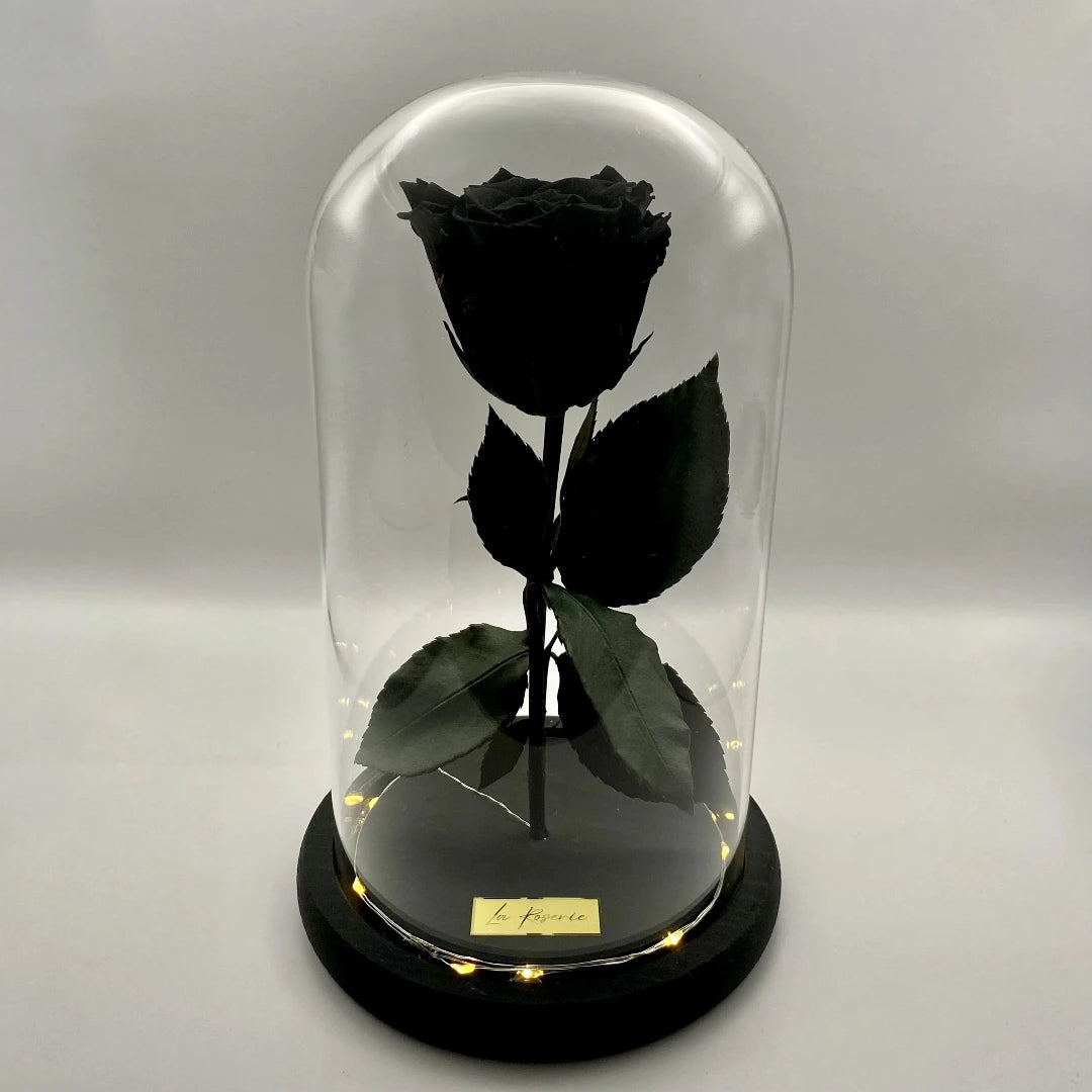 fekete örökrózsa üvegburában