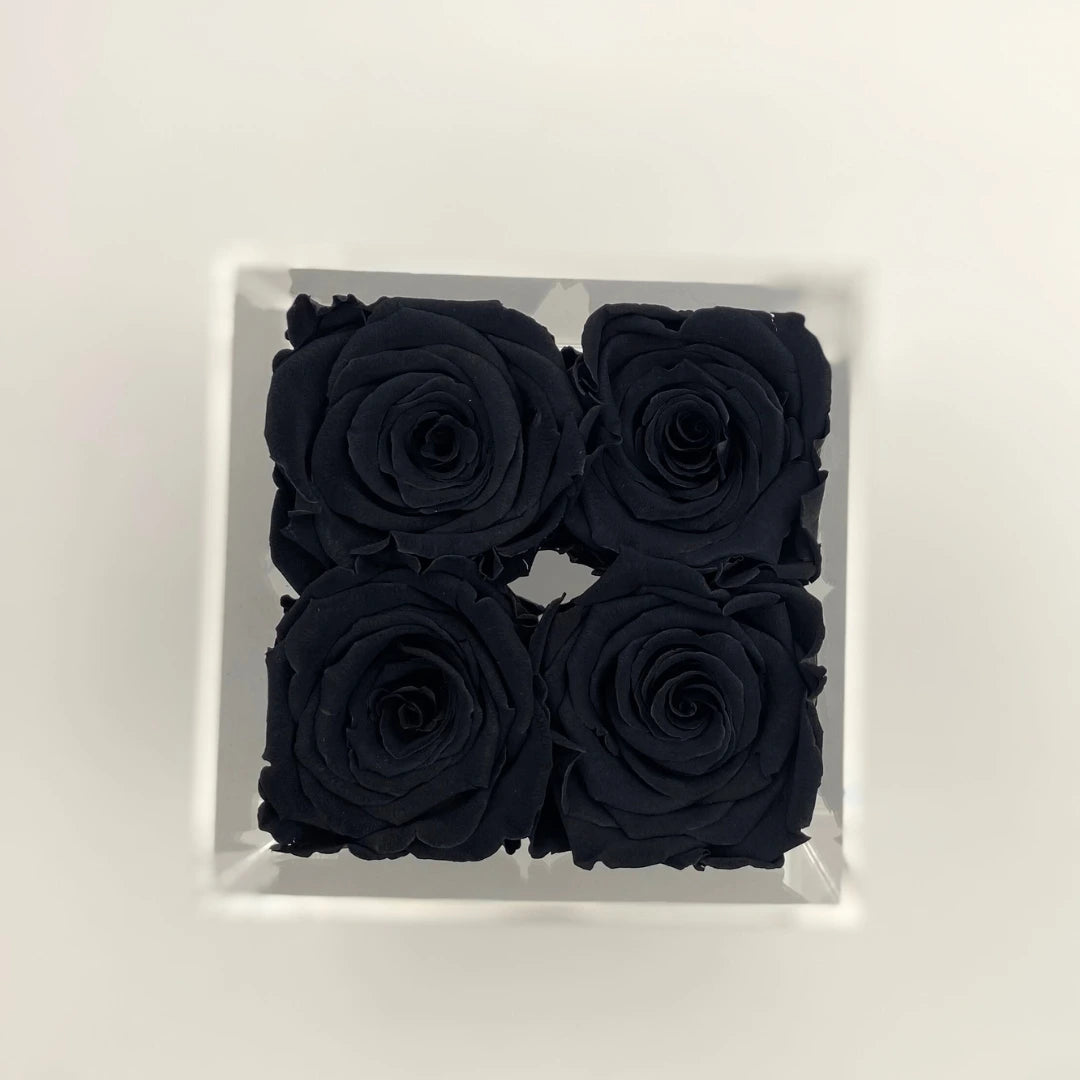 fekete örök rózsa