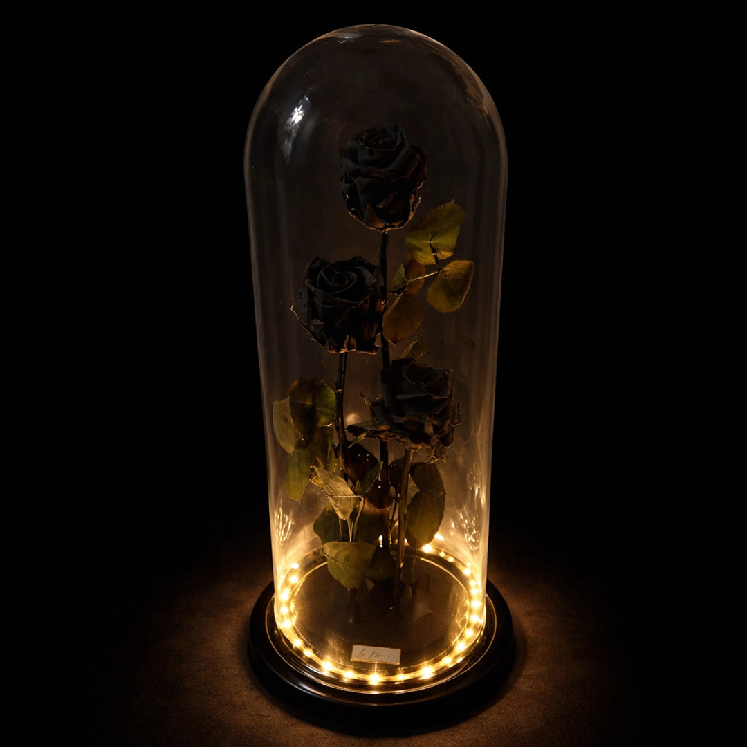fekete örökrózsa led világítássaé üvegben