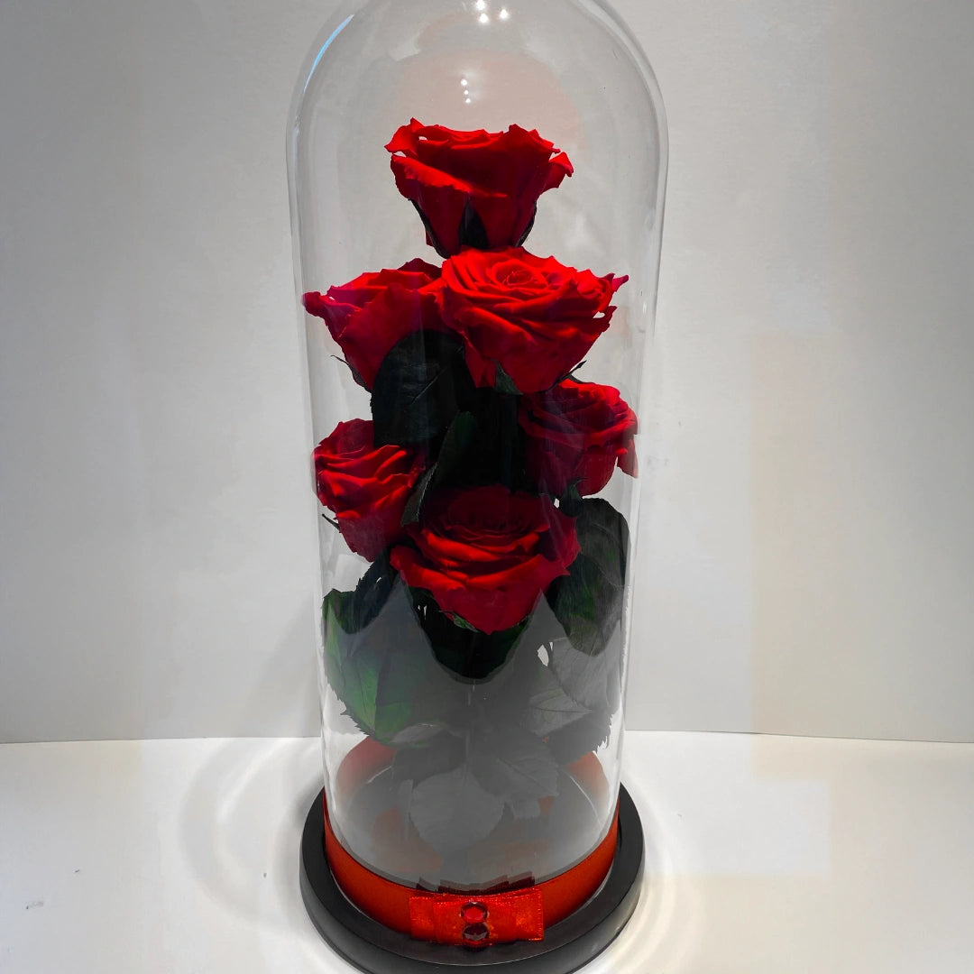 Örökózsa üvegburában