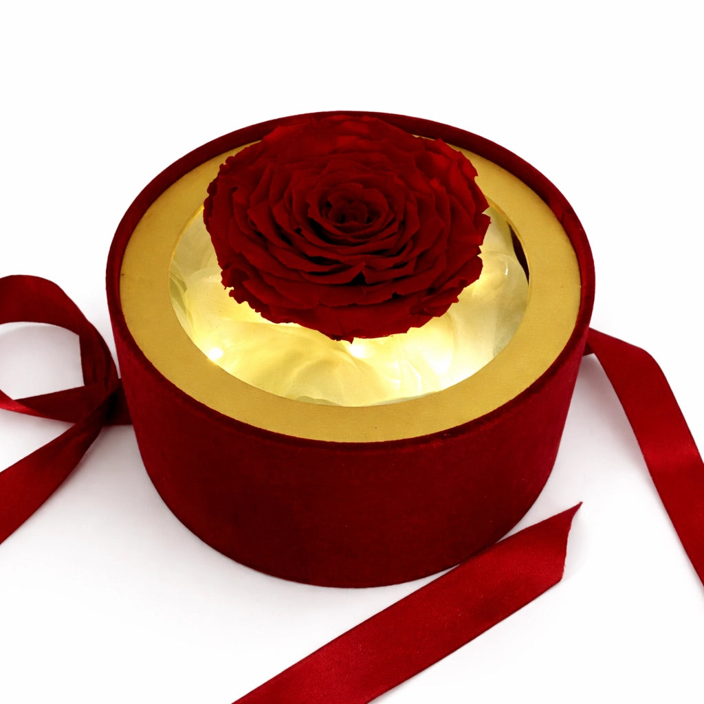 óriás örökrózsa dobozban