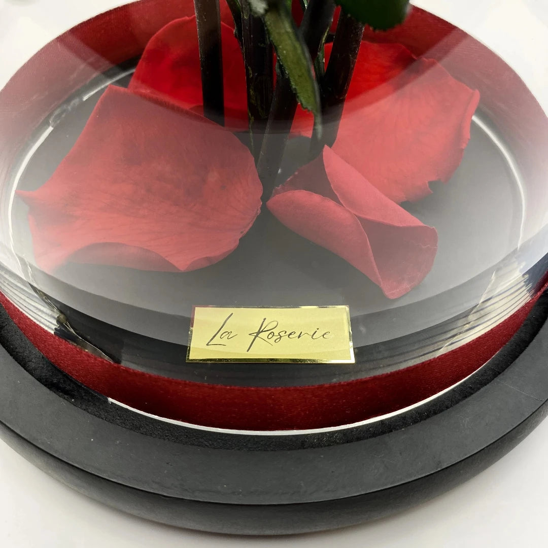 5 örökrózsa üvegben