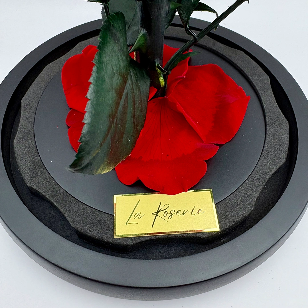 szív alakú örökrózsa üvegben