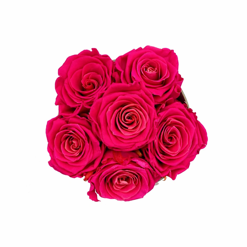 pink örökrózsa