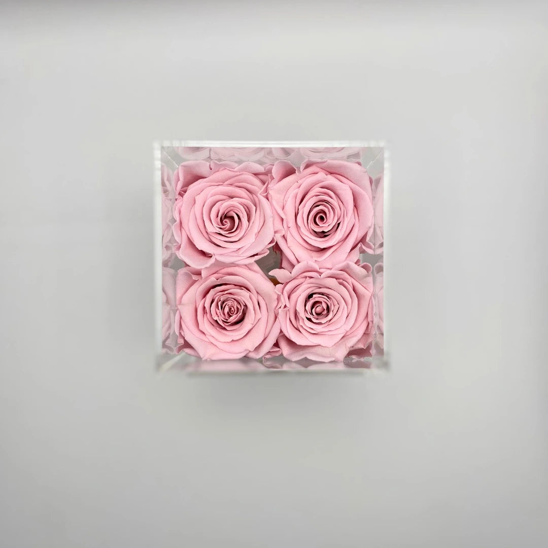 rózsaszín örök rózsa