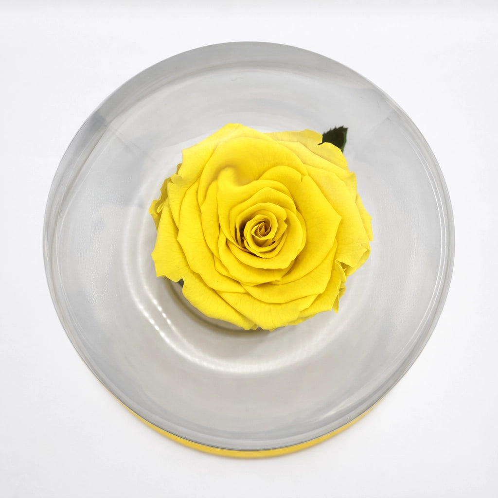 sárga örök rózsa üvegburában
