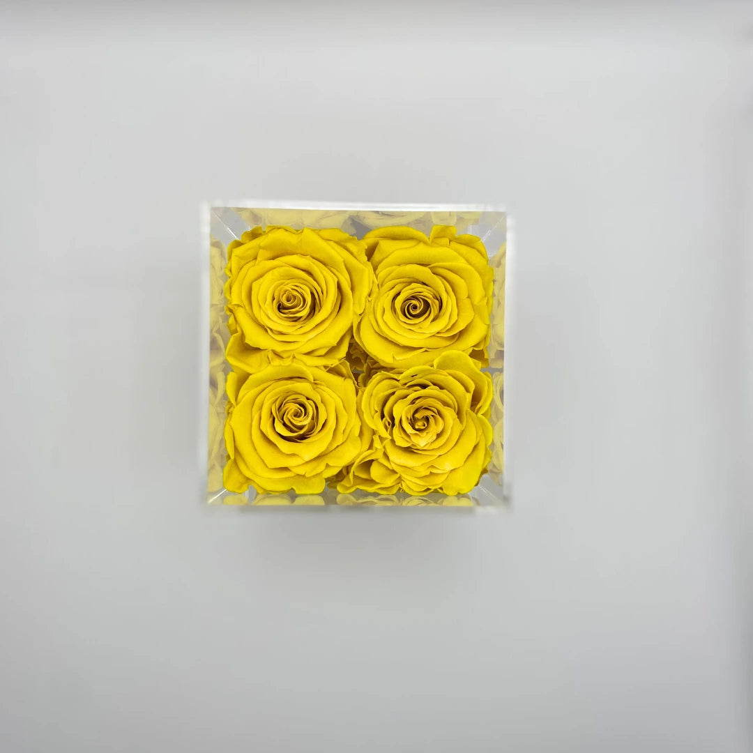 sárga örök rózsa