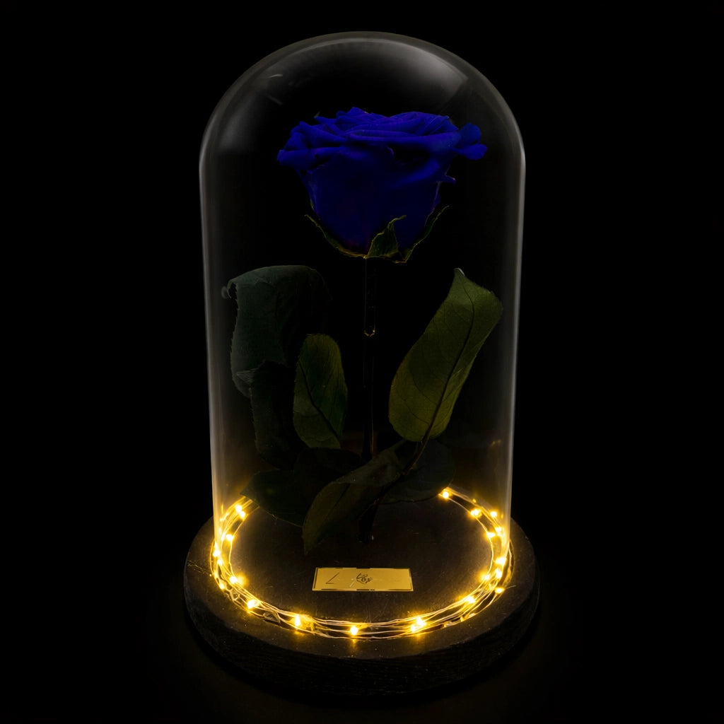 kék örökrózsa üvegbúrában, LED világítással