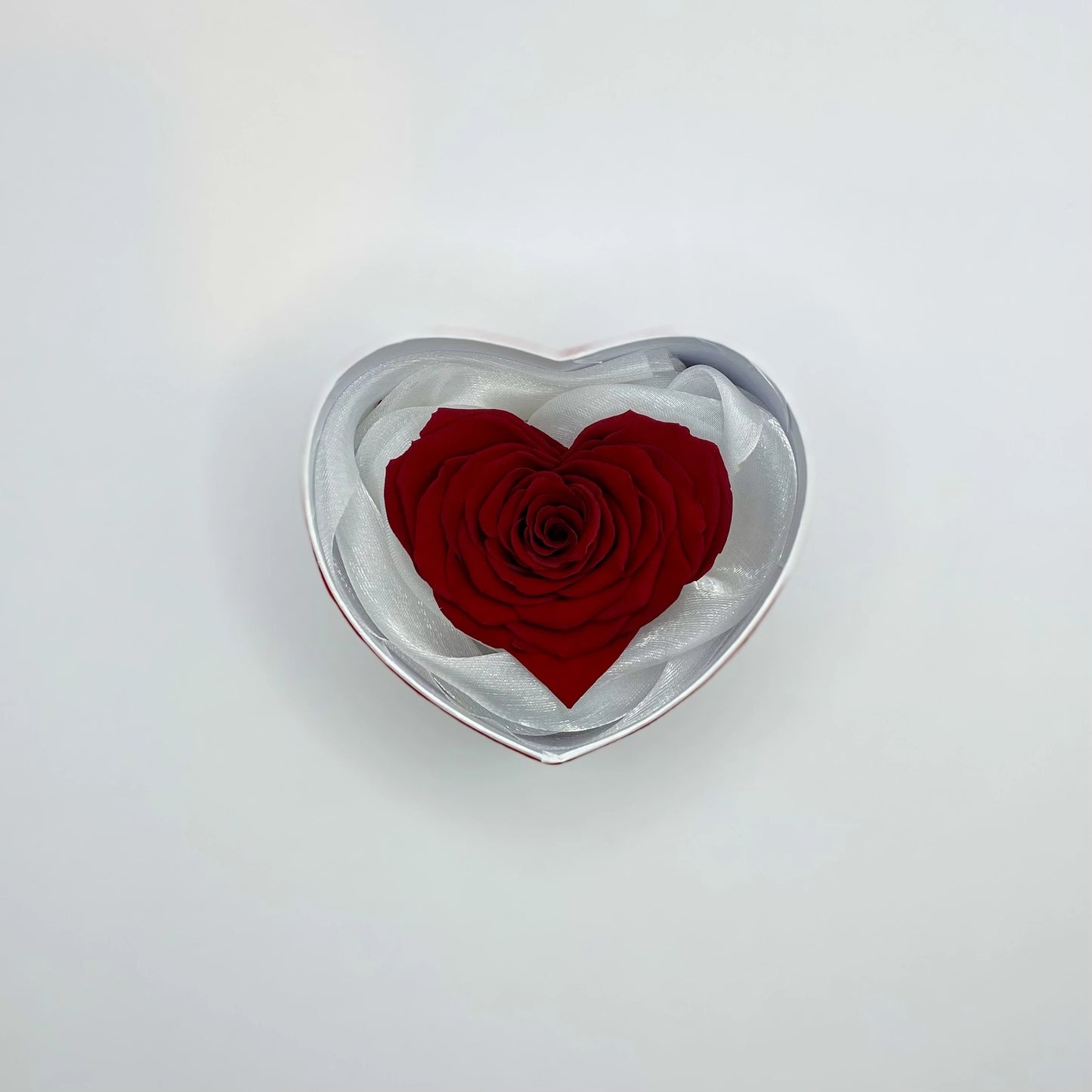 szív alakú örökrózsa