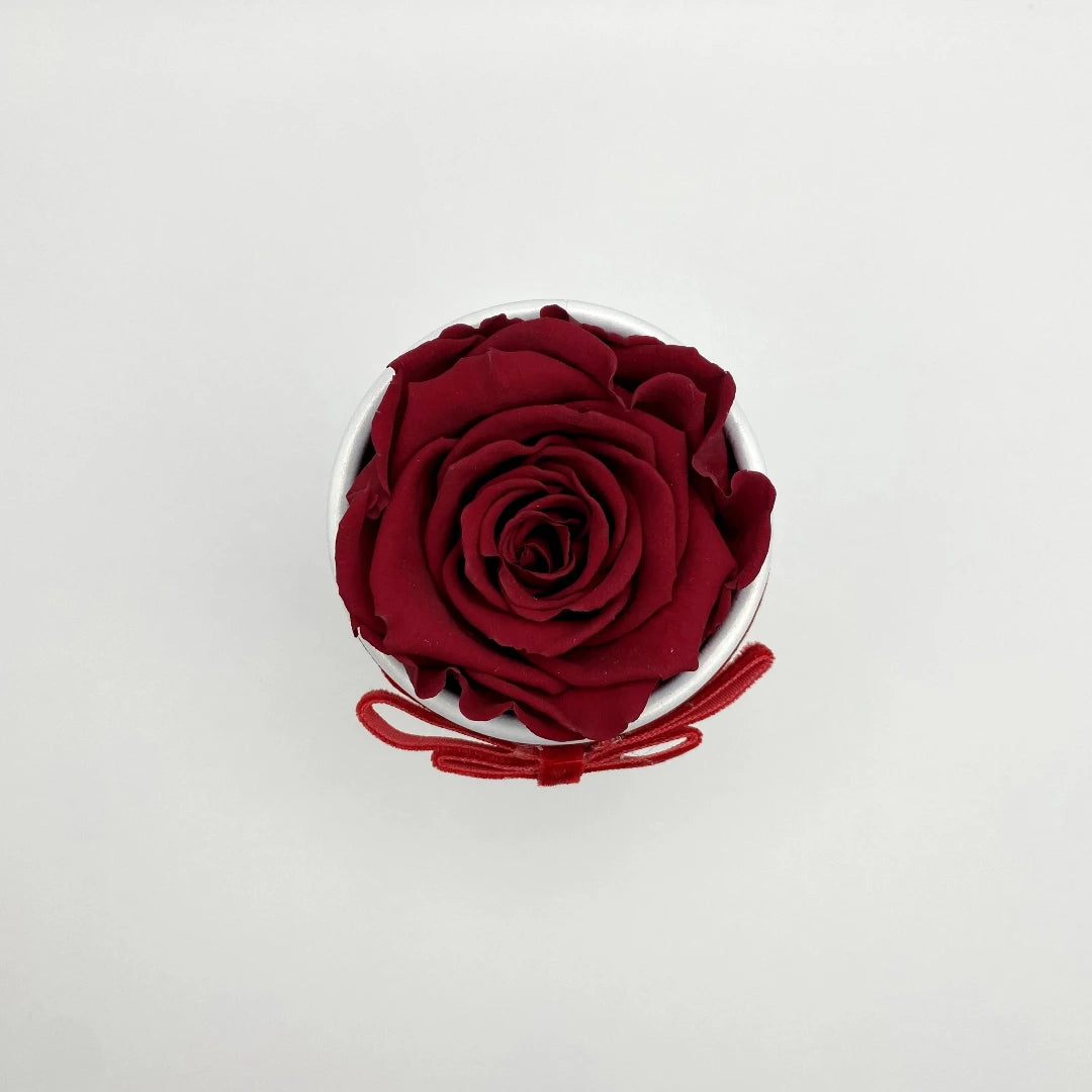 vörös örök életű rózsa