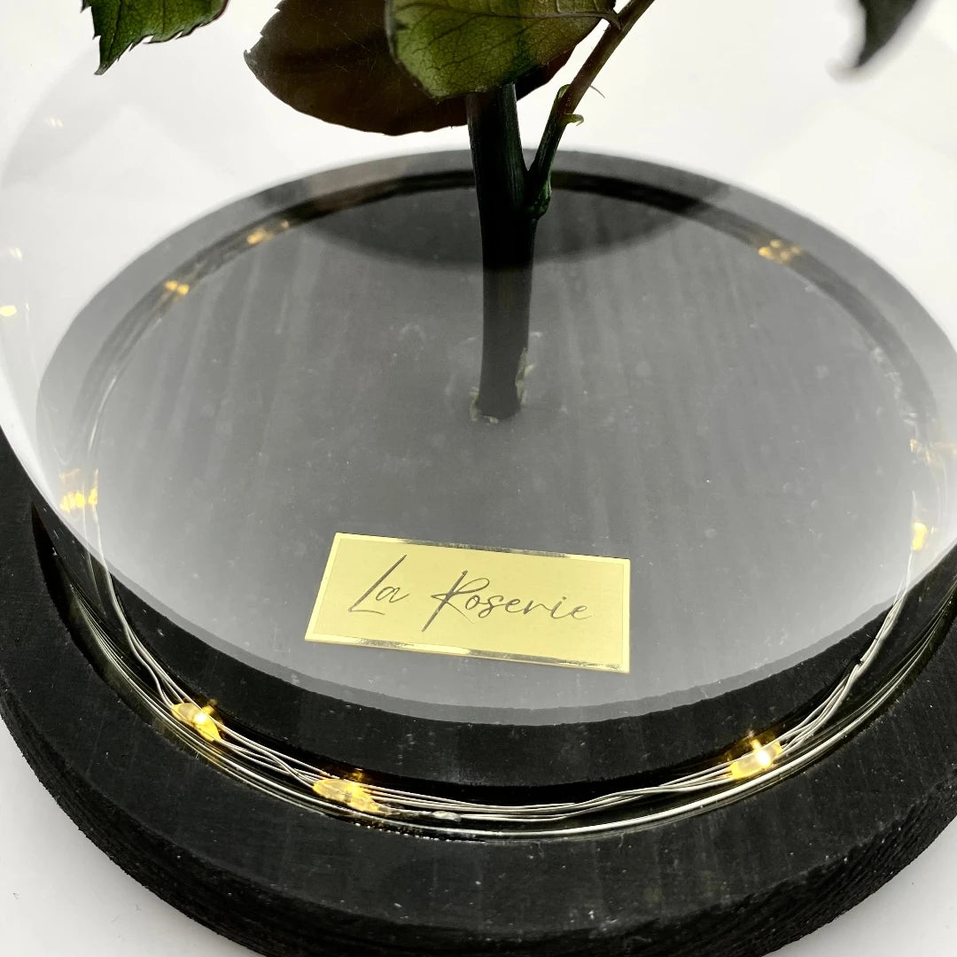 örökrózsa üvegbúrában