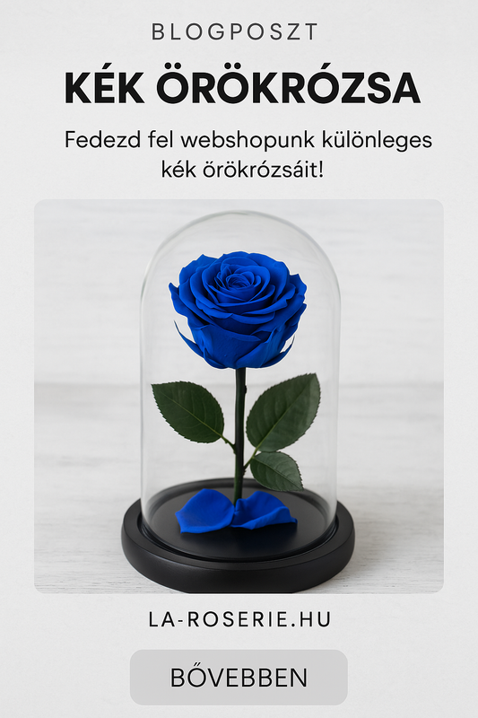 Kék örökrózsa a La Roserie-től