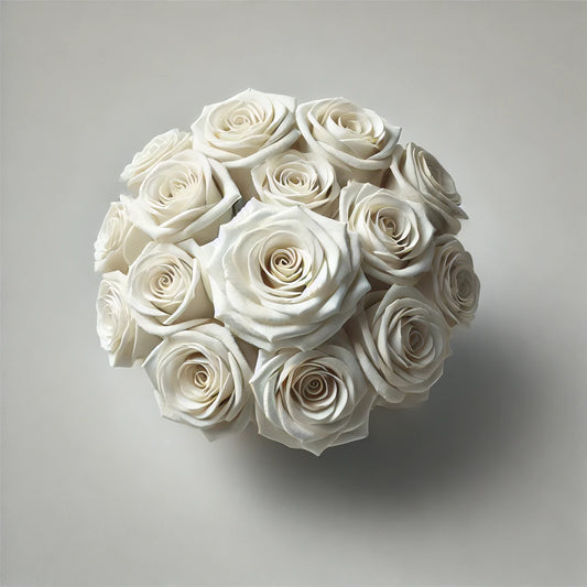 fehér örök rózsa