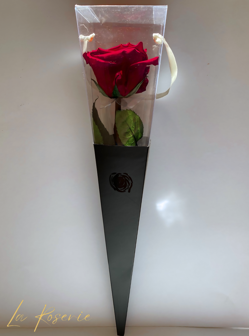 Egy szál vörös örök rózsa