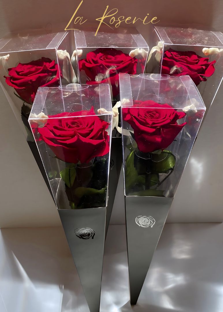 Szálas örök rózsa díszcsomagolásban