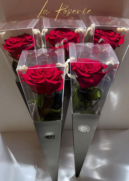 Szálas örök rózsa díszcsomagolásban