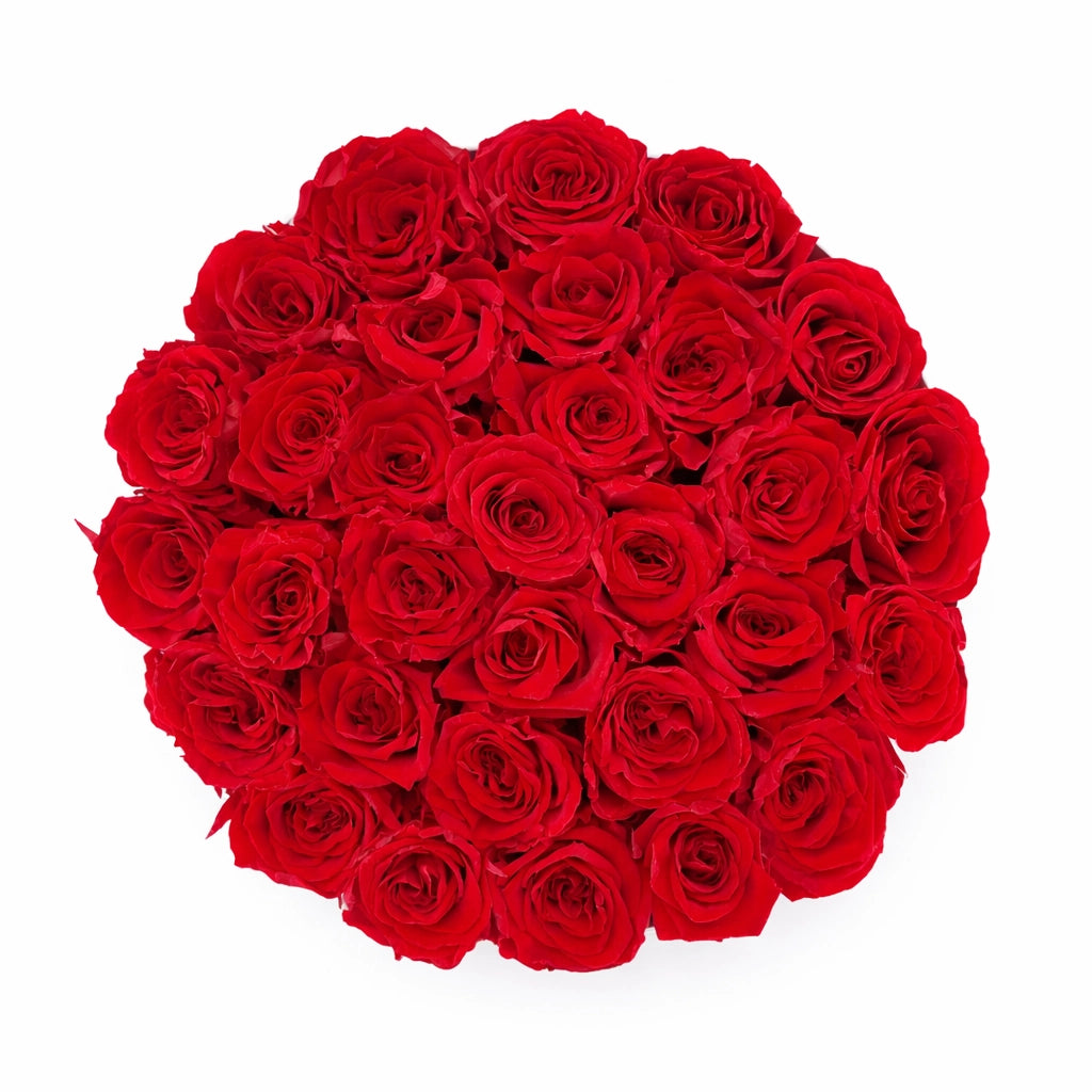 30-32 vörös örökrózsa dobozban