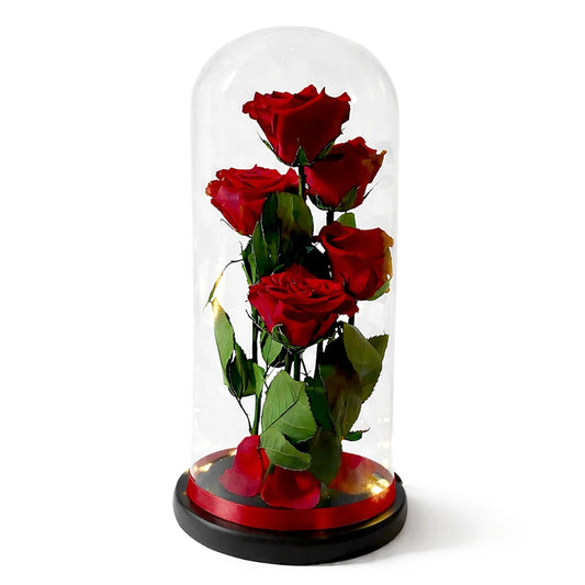 5 szál örökrózsa üvegbúrában, LED világítással