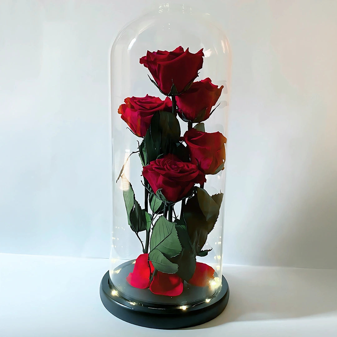 5 szál örökrózsa üvegbúrában, LED világítással