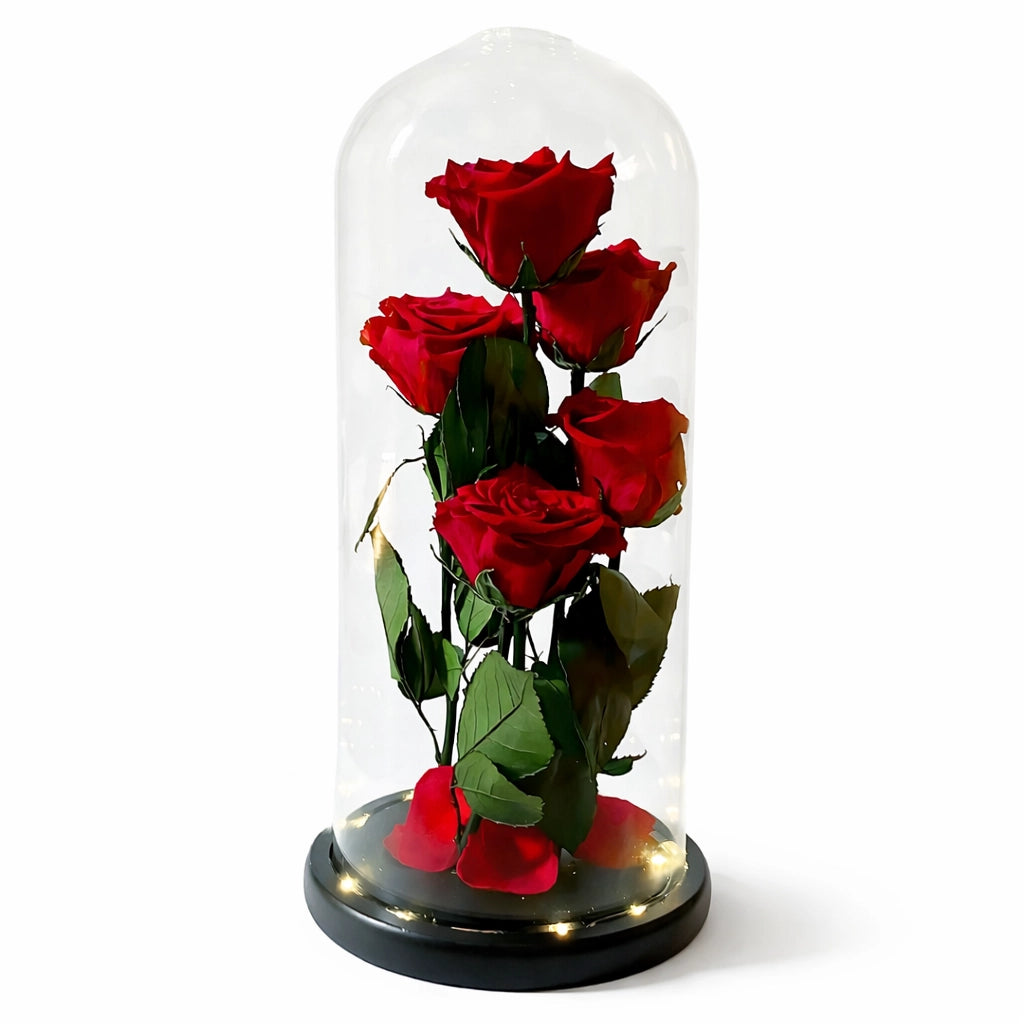 5 szál örökrózsa üvegbúrában, LED világítással