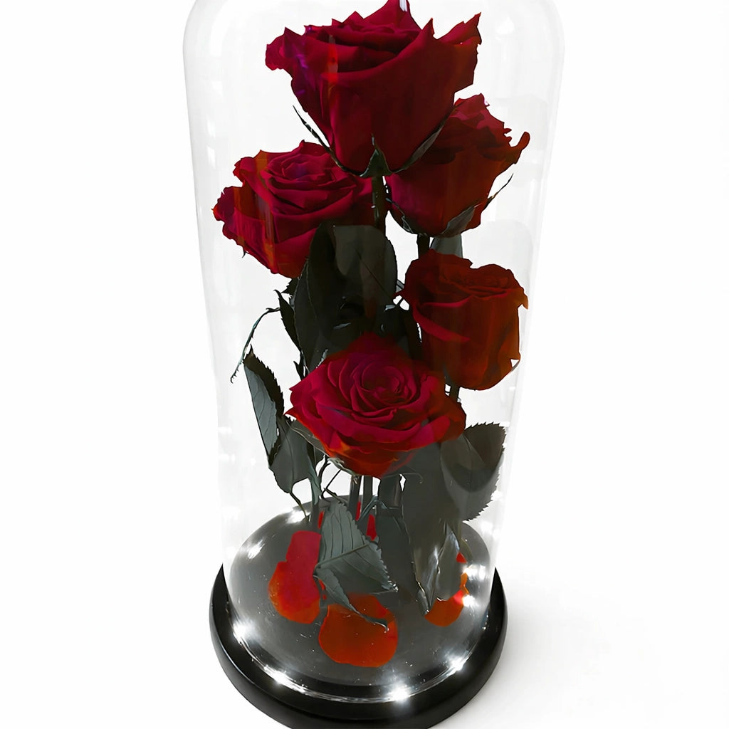 5 szál örökrózsa üvegbúrában, LED világítással