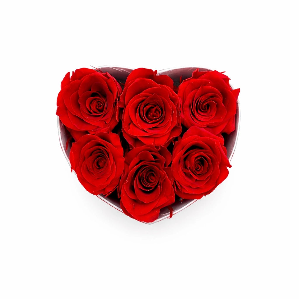 6 kisfejű örökrózsa szív dobozban