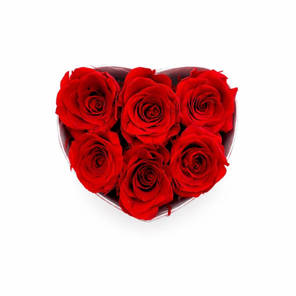 6 kisfejű örökrózsa szív dobozban