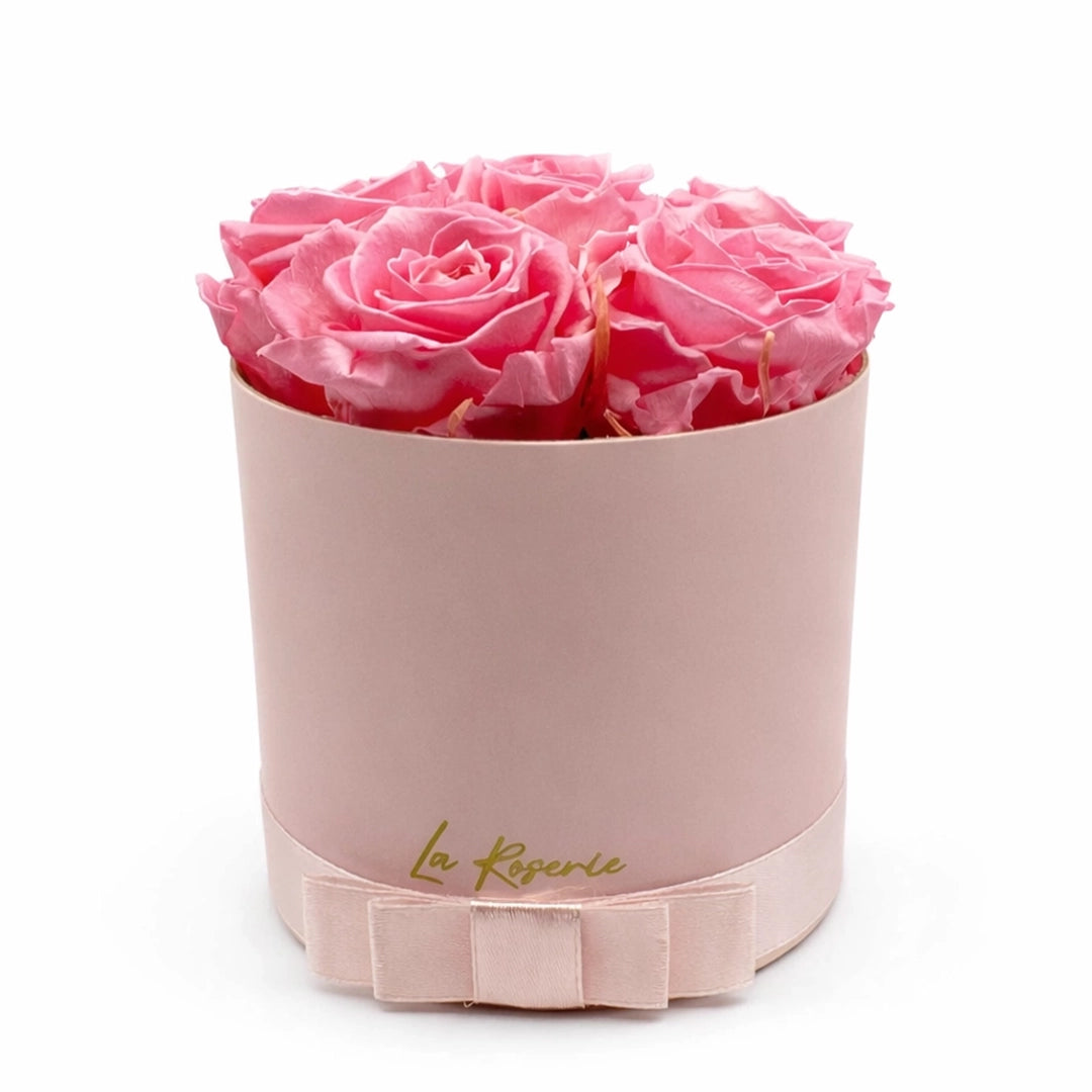 rózsaszín örök rózsa