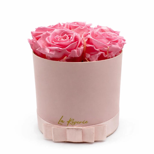 rózsaszín örök rózsa