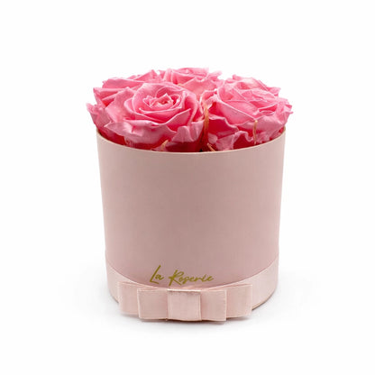 rózsaszín örök rózsa