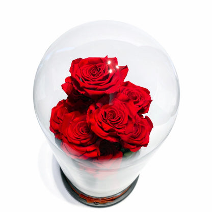 9 óriás örökrózsa üvegben