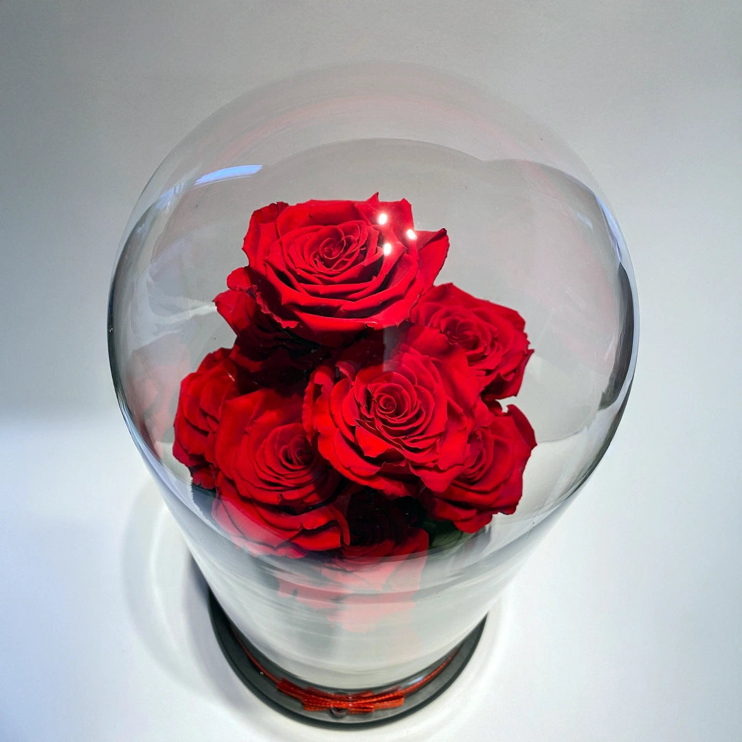9 óriás örökrózsa üvegben