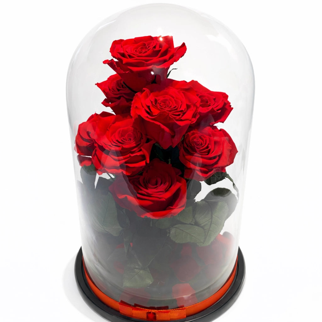9 óriás örökrózsa üvegben
