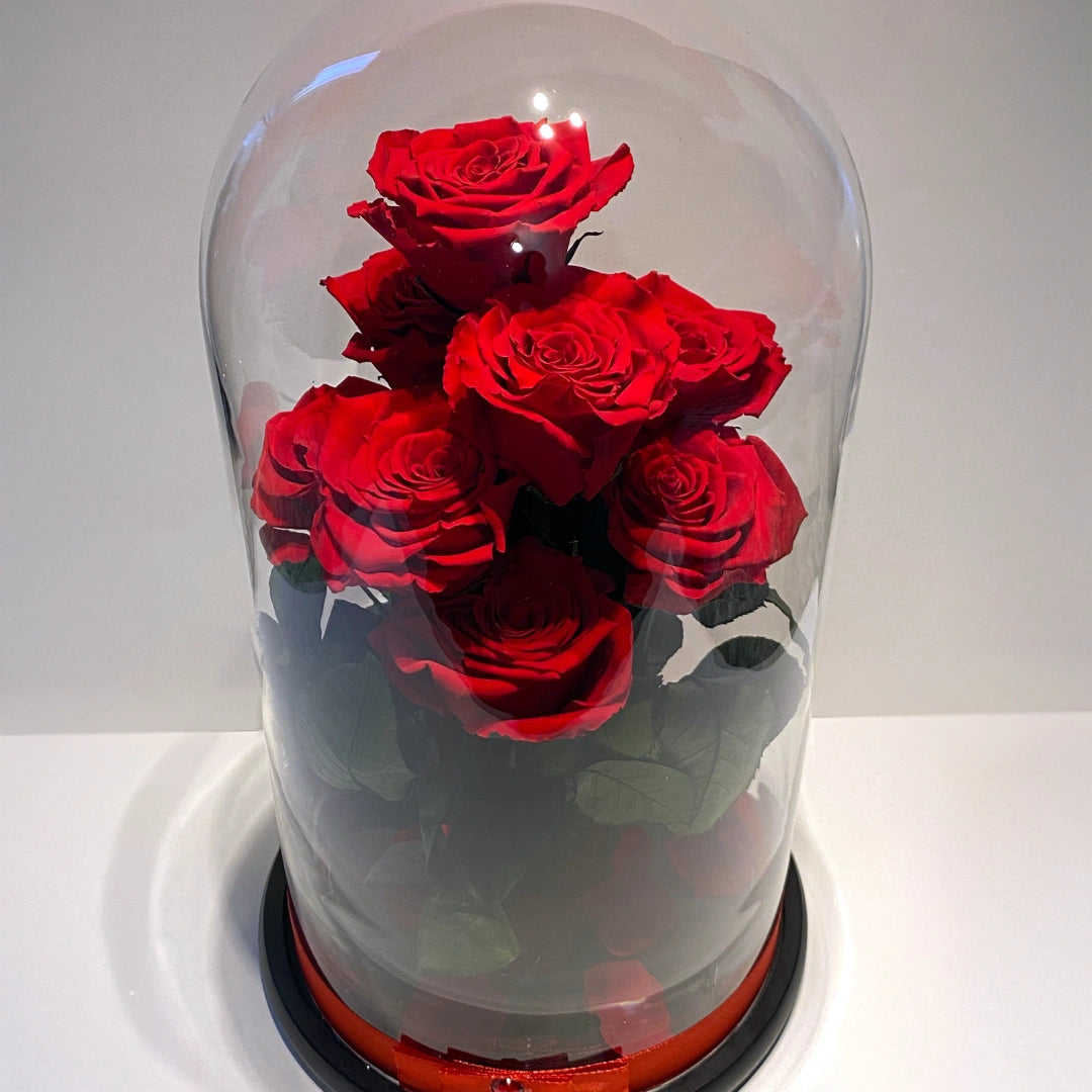 9 óriás örökrózsa üvegben