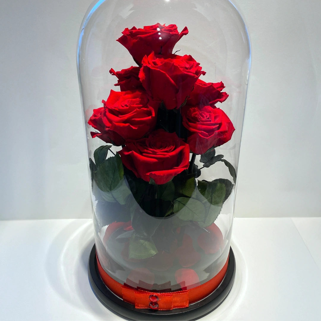 9 óriás örökrózsa üvegben