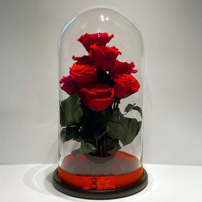 9 óriás örökrózsa üvegben