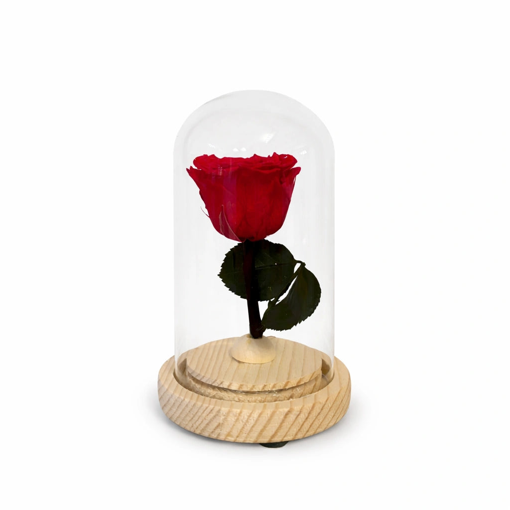 kicsi örök rózsa üvegben, led világítással