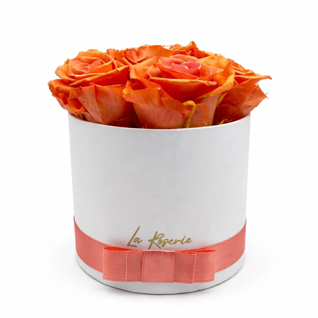 barack színű örökrózsa