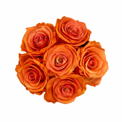 barack színű rózsa dobozban