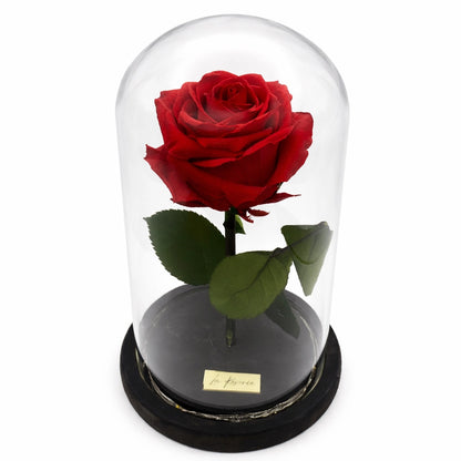 nagyfejű vörös örökrózsa üvegben