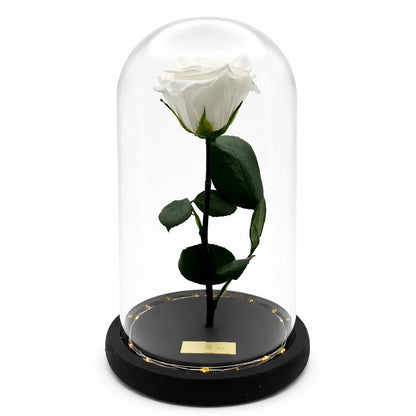  fehér örökrózsa üvegben