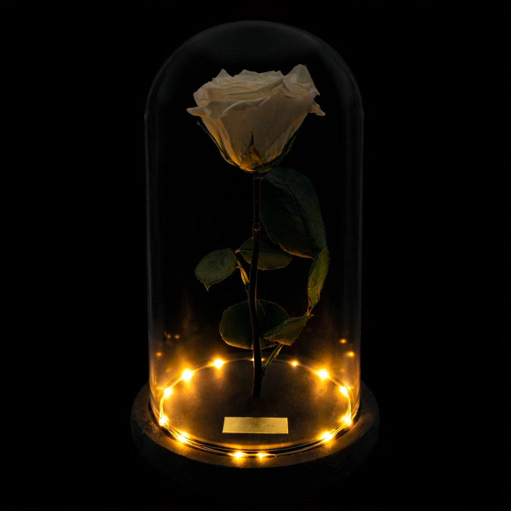 fehér örökrózsa burában, LED világítással