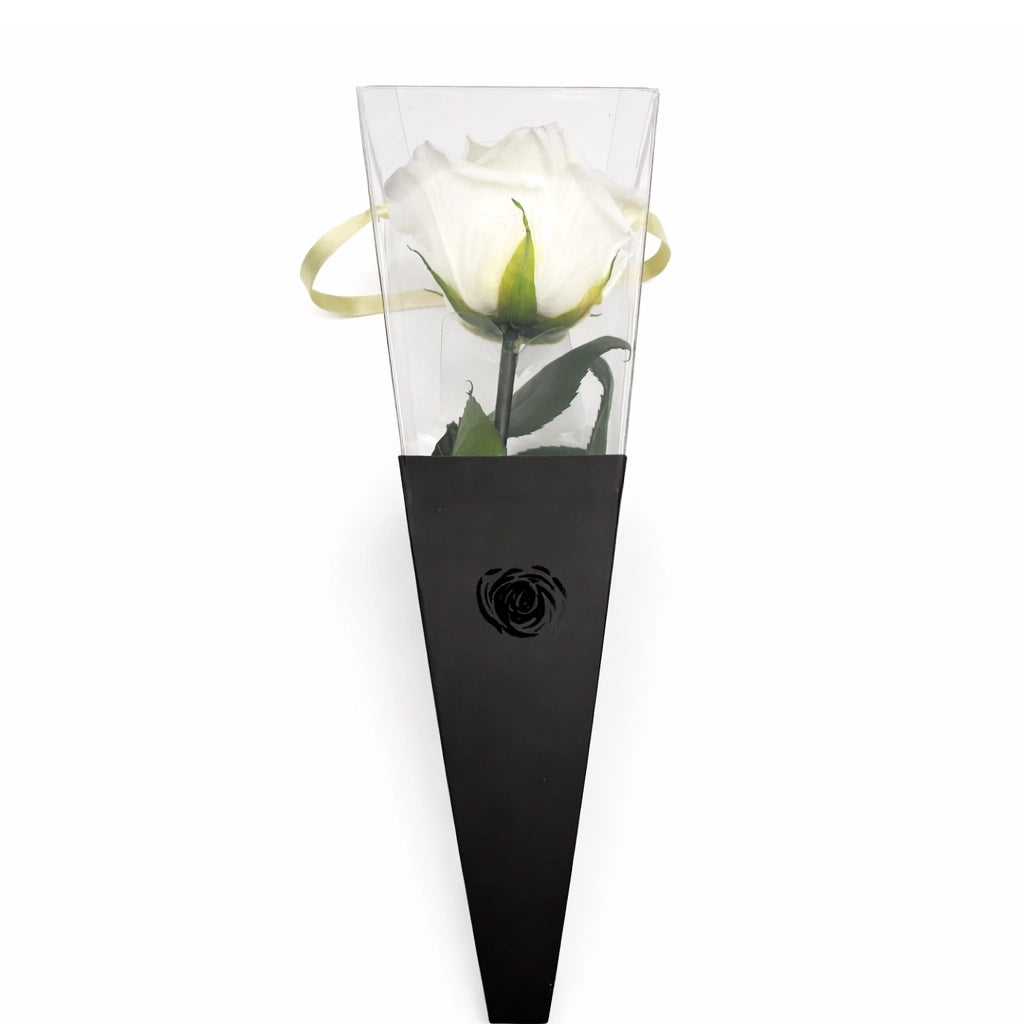 szálas fehér örök rózsa